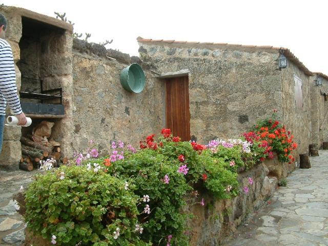 Casa Rural El Drago Guest House Moya  Luaran gambar